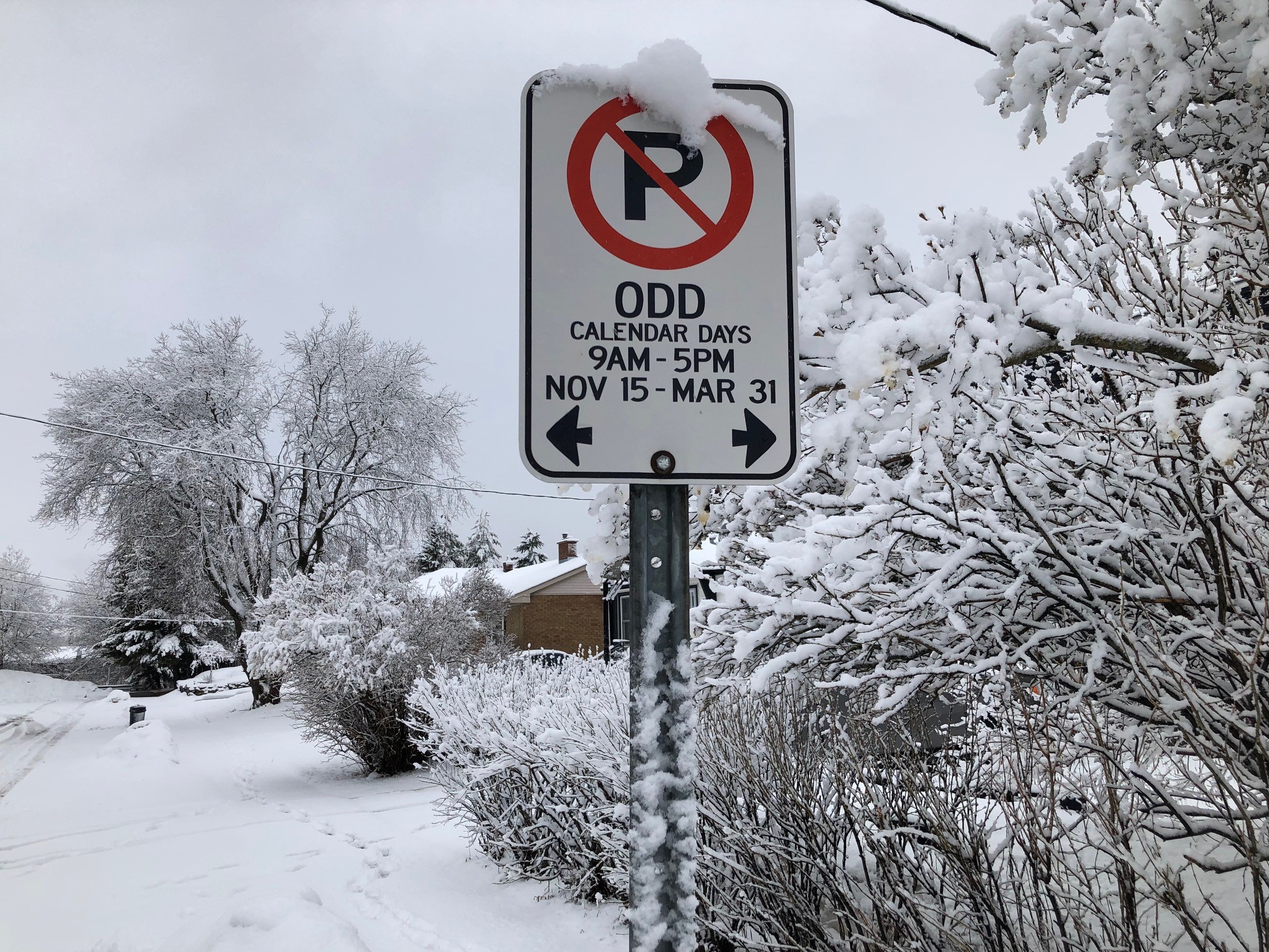 Calendar Parking Sign