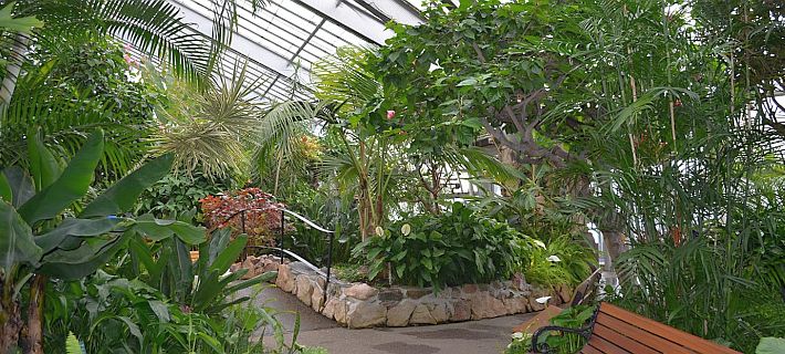 Thunder Bay's Centennial Botanical Conservatory